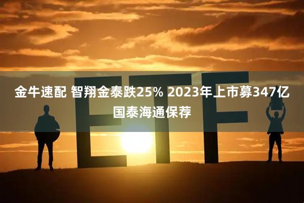 金牛速配 智翔金泰跌25% 2023年上市募347亿国泰海通保荐