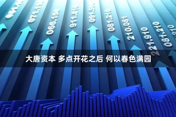 大唐资本 多点开花之后 何以春色满园